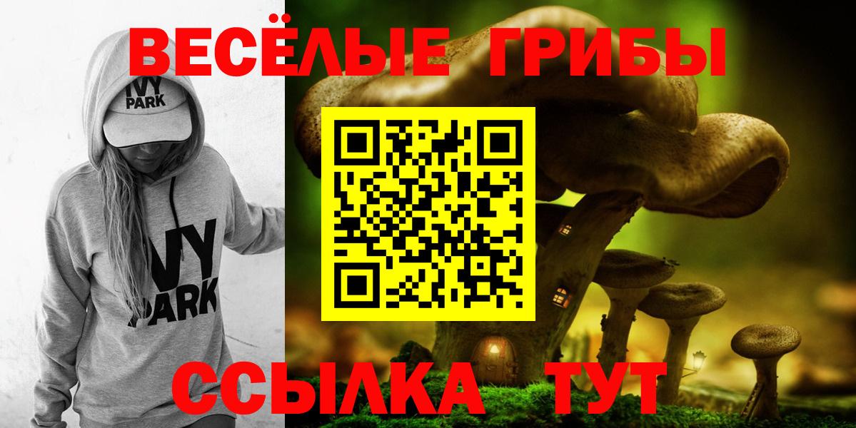 Псилоцибиновые грибы Psilocybe  Вход с VPN  где можно купить   Мыски 